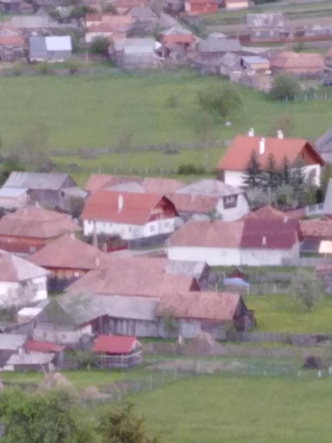 Casa Traditionala Subcetate Subcetate  Zewnętrze zdjęcie