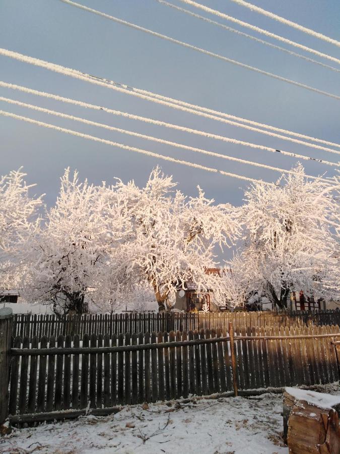 Casa Traditionala Subcetate Subcetate  Zewnętrze zdjęcie