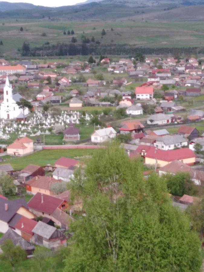 Casa Traditionala Subcetate Subcetate  Zewnętrze zdjęcie