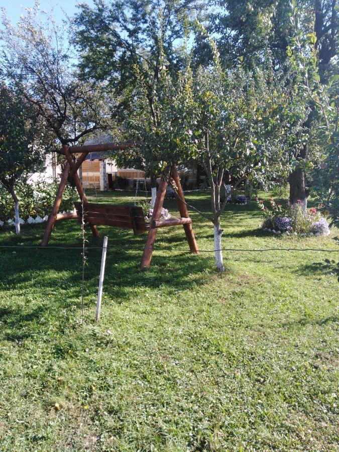 Casa Traditionala Subcetate Subcetate  Zewnętrze zdjęcie