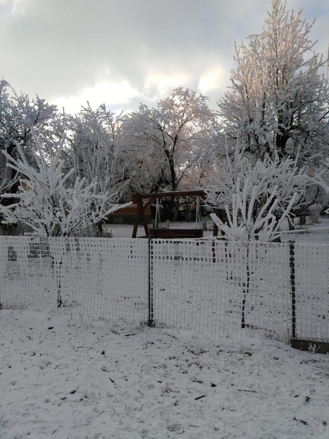 Casa Traditionala Subcetate Subcetate  Zewnętrze zdjęcie