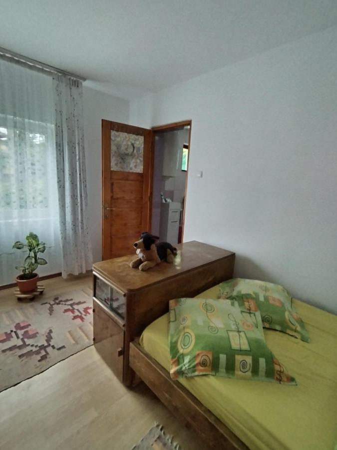 Casa Traditionala Subcetate Subcetate  Zewnętrze zdjęcie