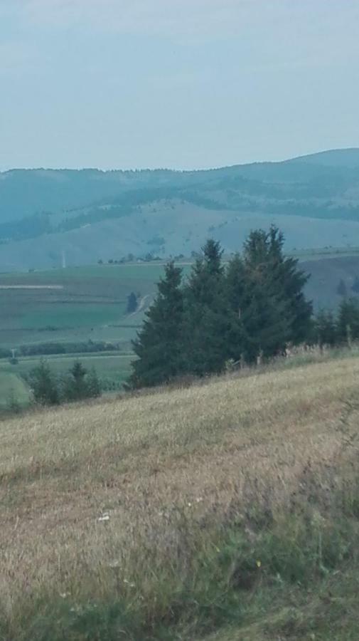 Casa Traditionala Subcetate Subcetate  Zewnętrze zdjęcie