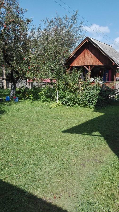 Casa Traditionala Subcetate Subcetate  Zewnętrze zdjęcie