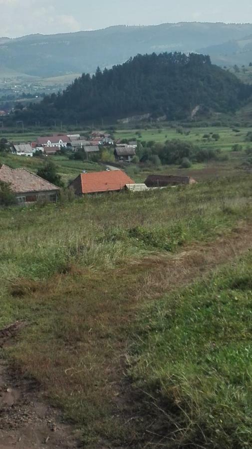Casa Traditionala Subcetate Subcetate  Zewnętrze zdjęcie