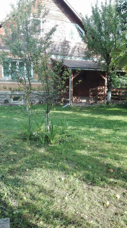 Casa Traditionala Subcetate Subcetate  Zewnętrze zdjęcie